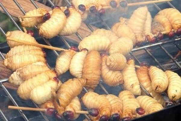 instagram.com/kulinerplanet