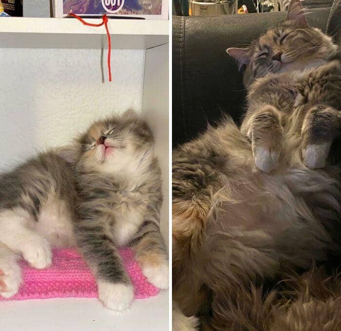 reddit.com/timelady84