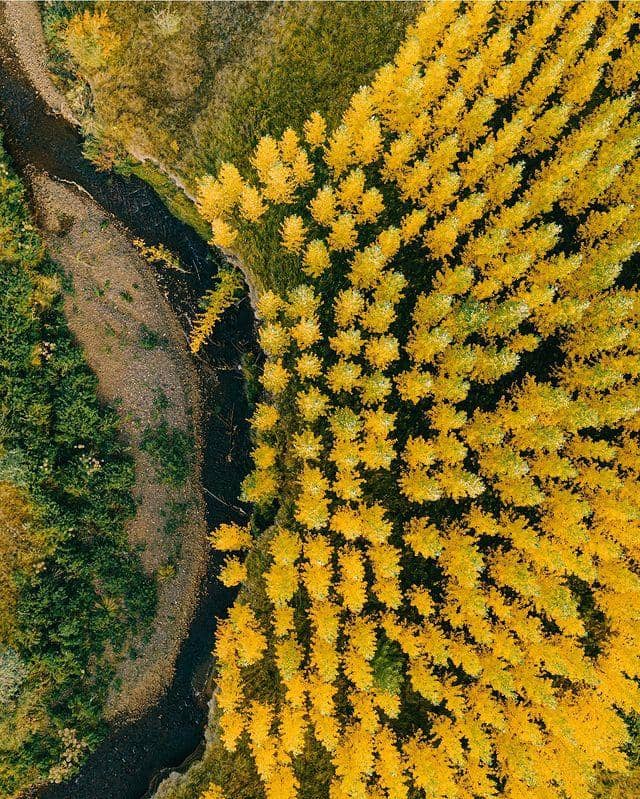 instagram.com/ _mishamartin