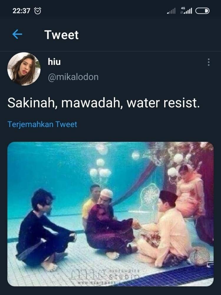 Twitter.com/mikalodon