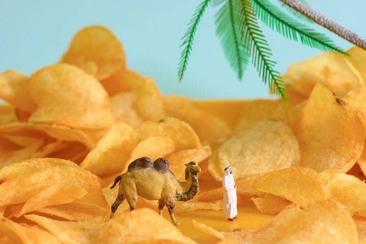 instagram.com/ tinywasteland