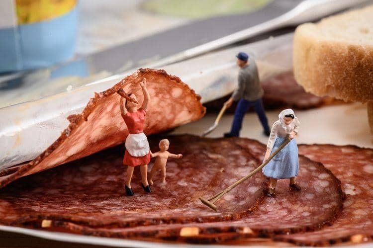 instagram.com/ tinywasteland