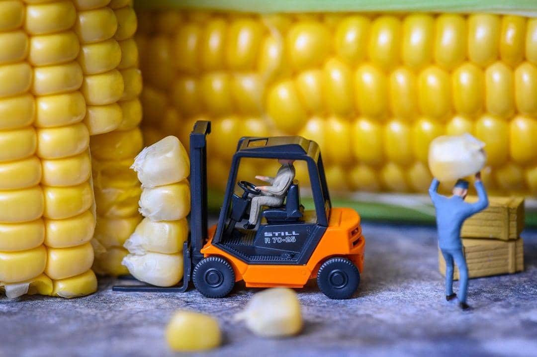 instagram.com/ tinywasteland