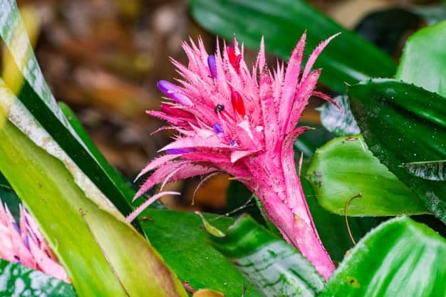 freepik.com/martinleber