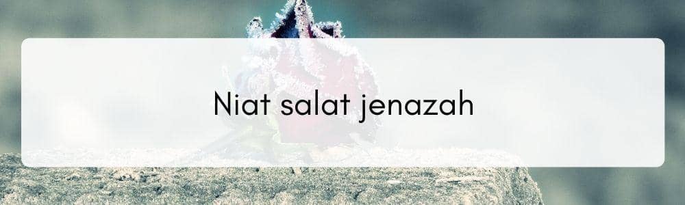 Canva.com, Edited by Romi Subhan