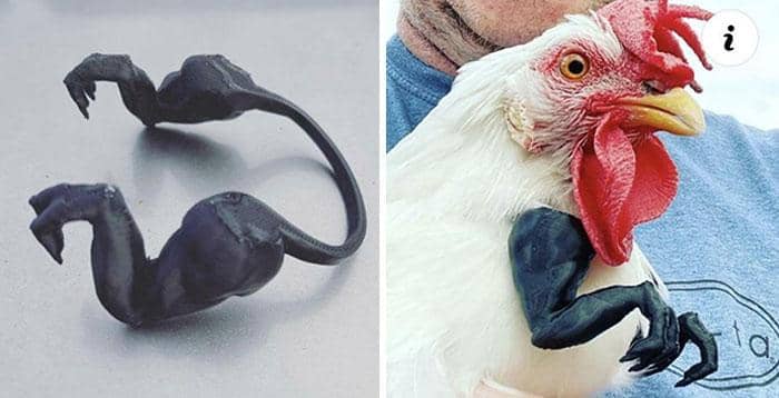 reddit.com/LadyOfTheLakeMi