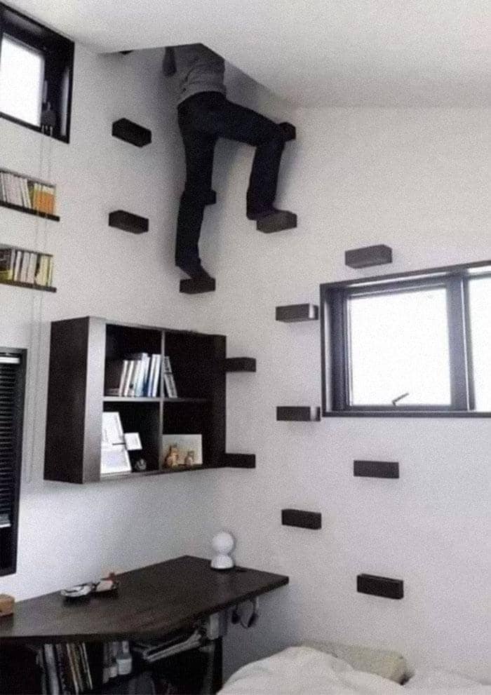 reddit.com/skalamabirdy2