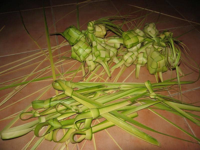 flickr.com/najibninaba