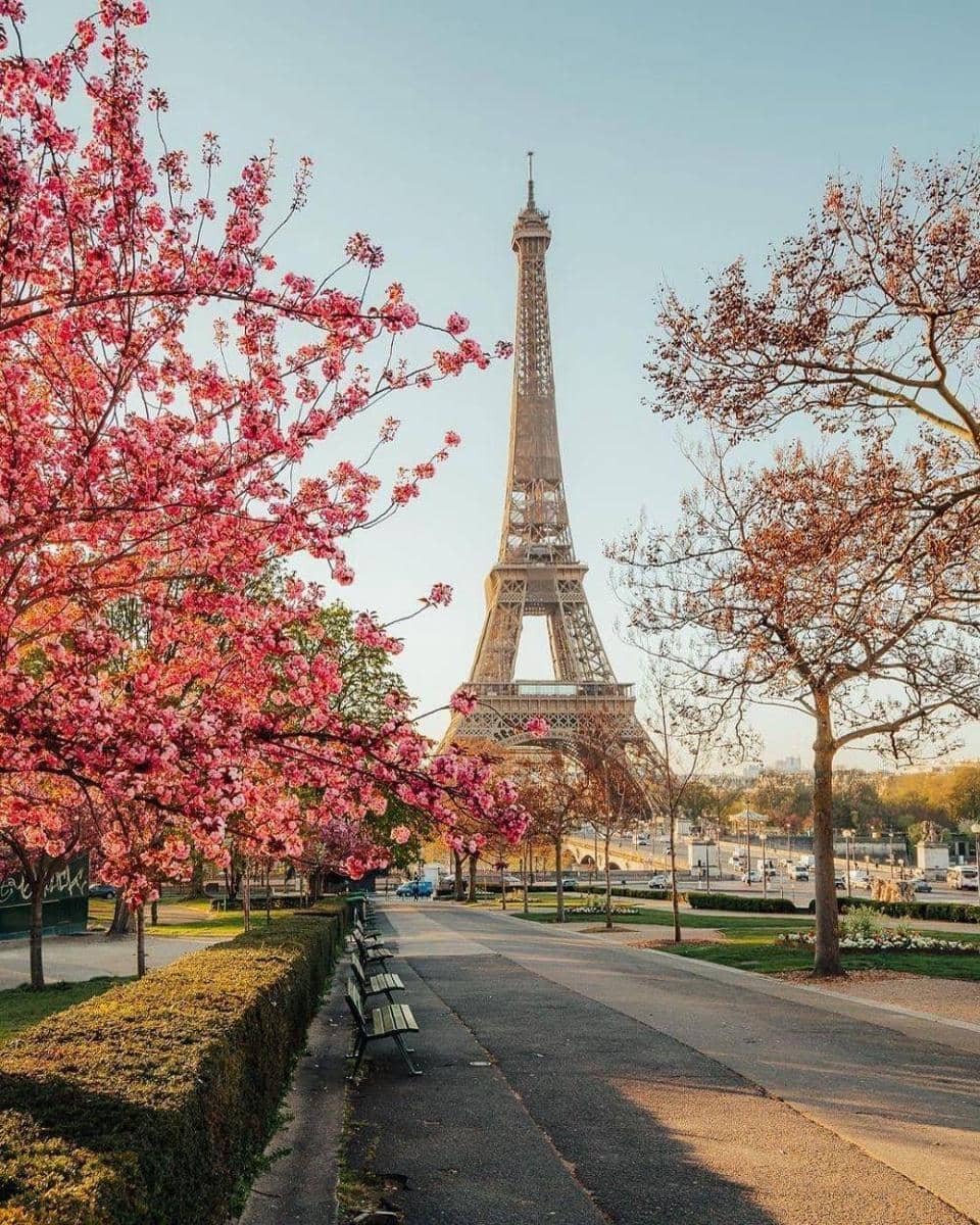 Instagram.com/wonguy974