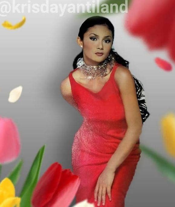 instagram.com/krisdayantiland