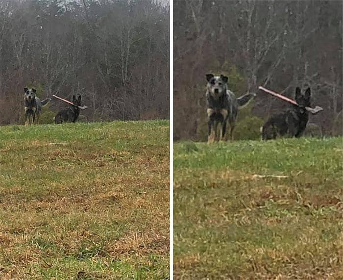 facebook.com/TimSmith