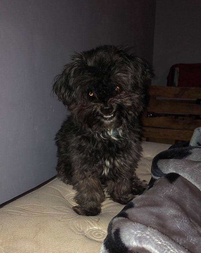 reddit .com/IanRiosDub