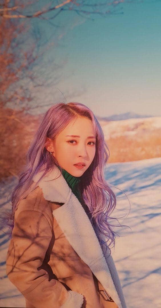 pinterest.com/Han-Hani