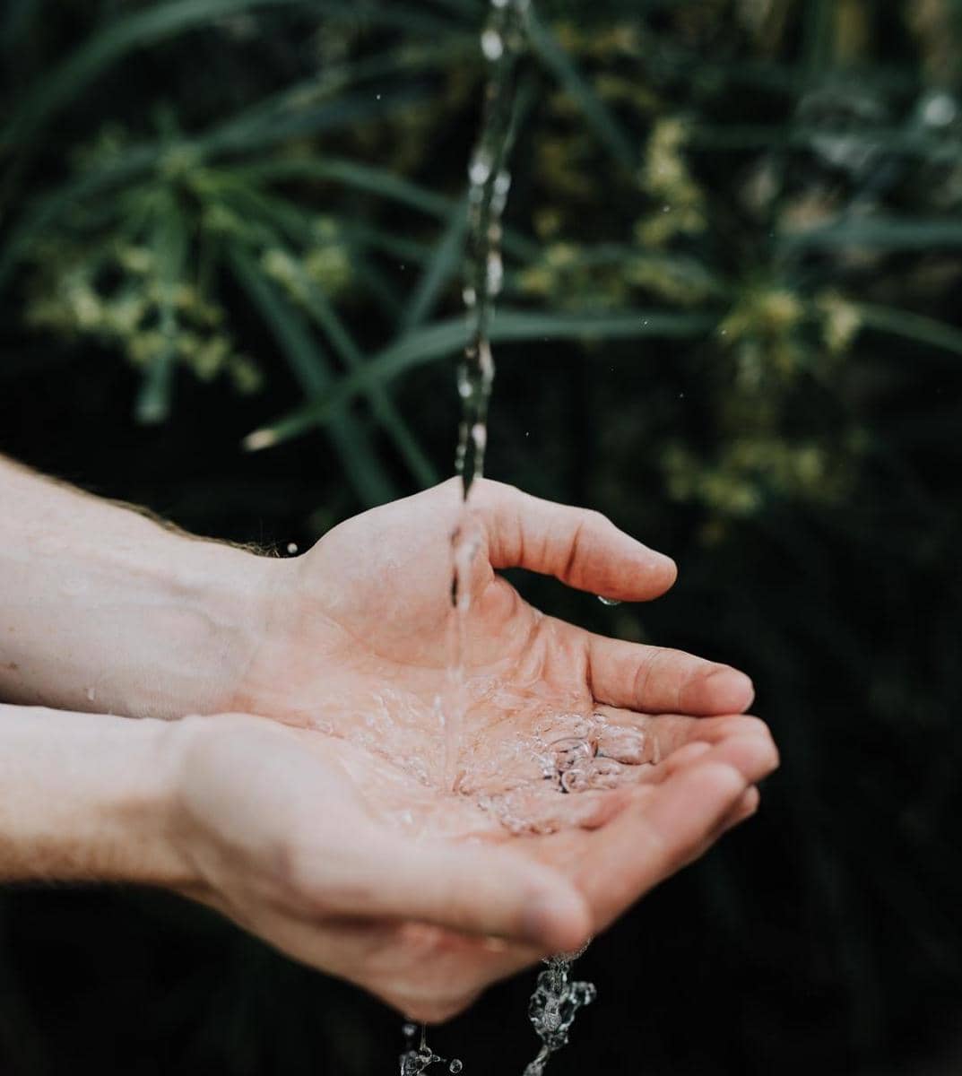 Unsplash.com/Austin Kehmeier