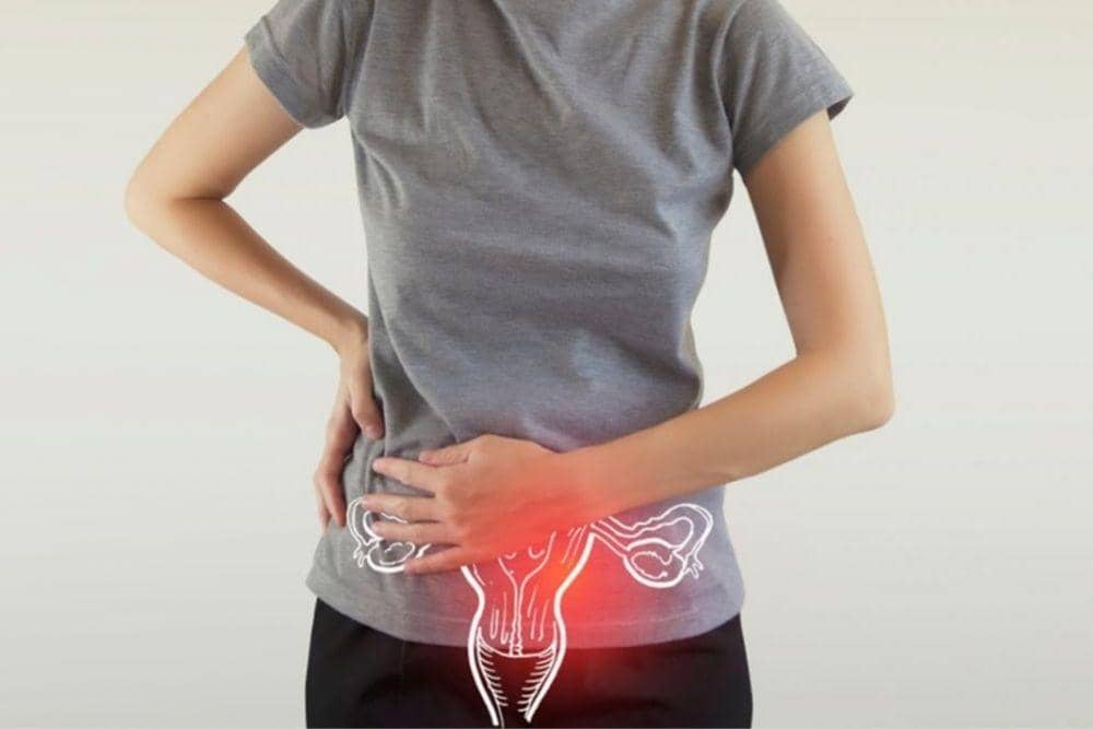 saudigermanhealth.com