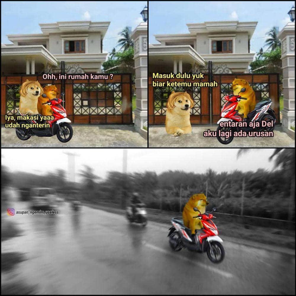 Instagram.com/asupan_ngemim_useless