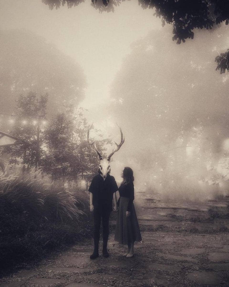 Instagram.com/cakecaine