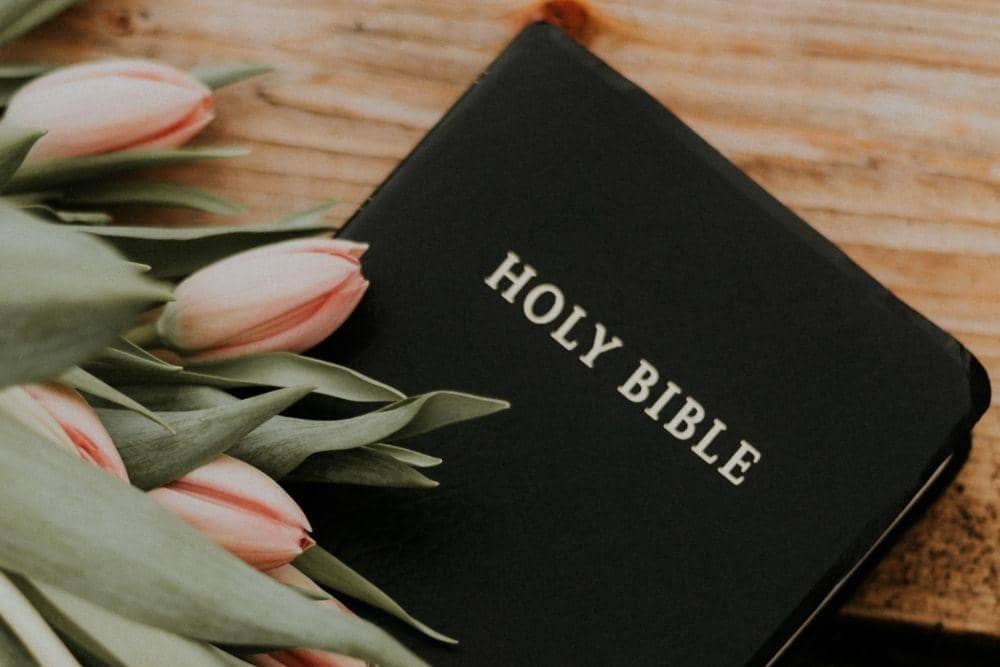 unsplash.com/priscilla-du-preez