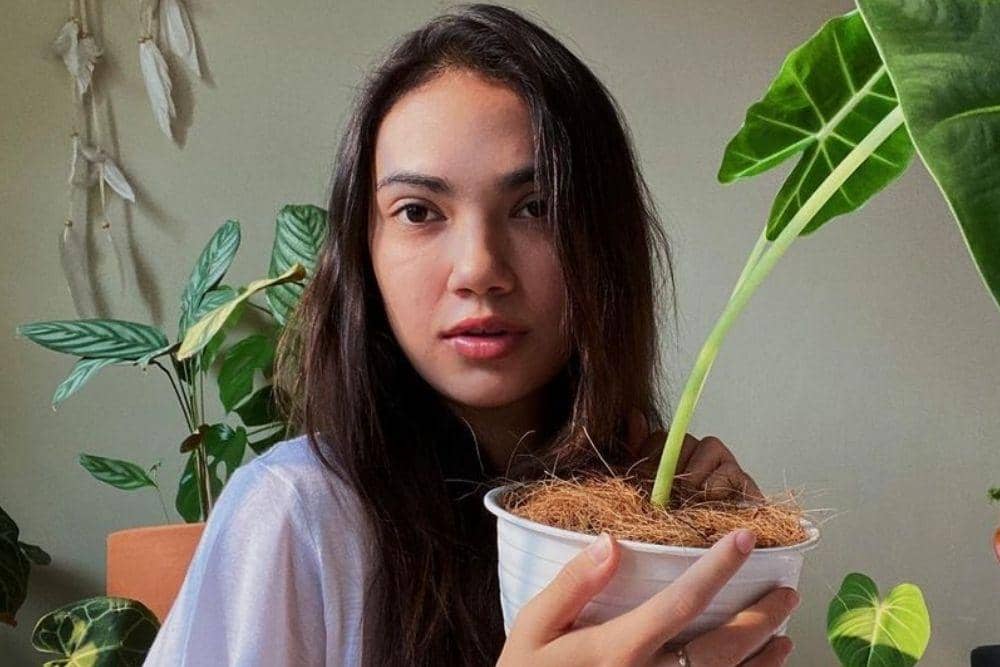 instagram.com/haico.vdv