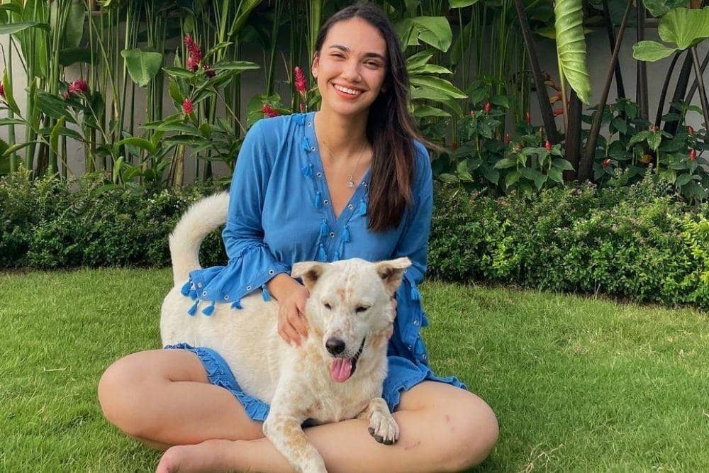 instagram.com/haico.vdv