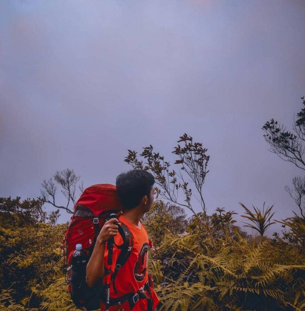 Instagram.com/endo_121