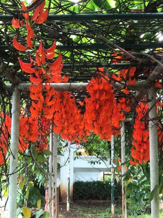 pinterest.com/Meis Djoeachir