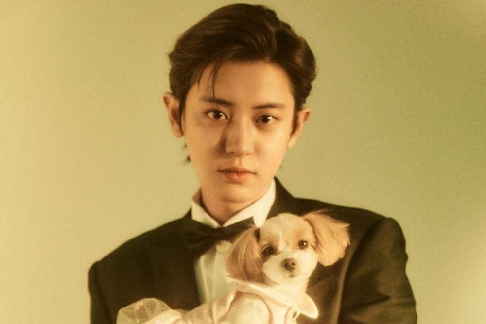 instagram.com/real__pcy