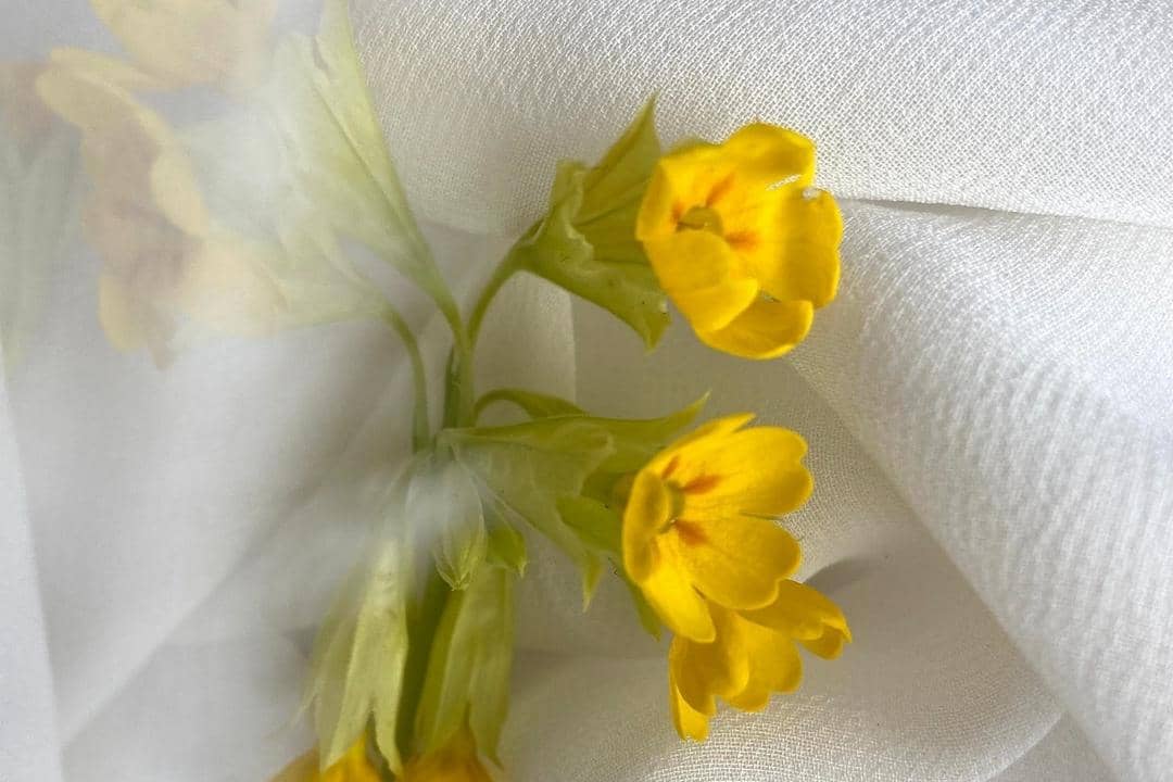 Pexels.com/Sunsetoned