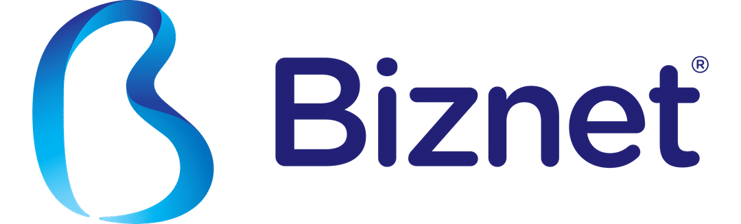 biznetmetworks.com
