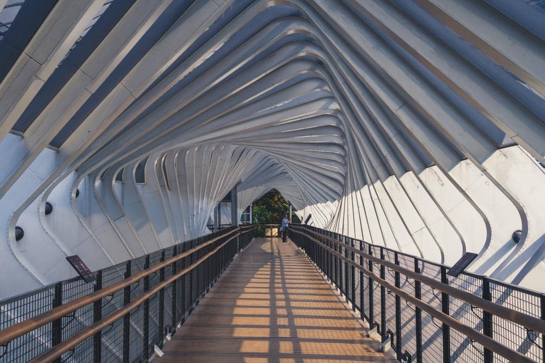 Unsplash.com/Suthan Auliya