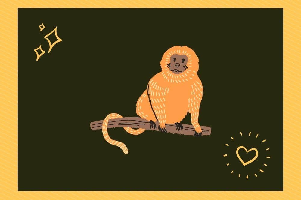 Canva.com/Andhina Effendi