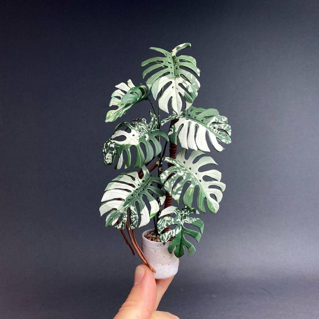 instagram.com/astridwilkstudio