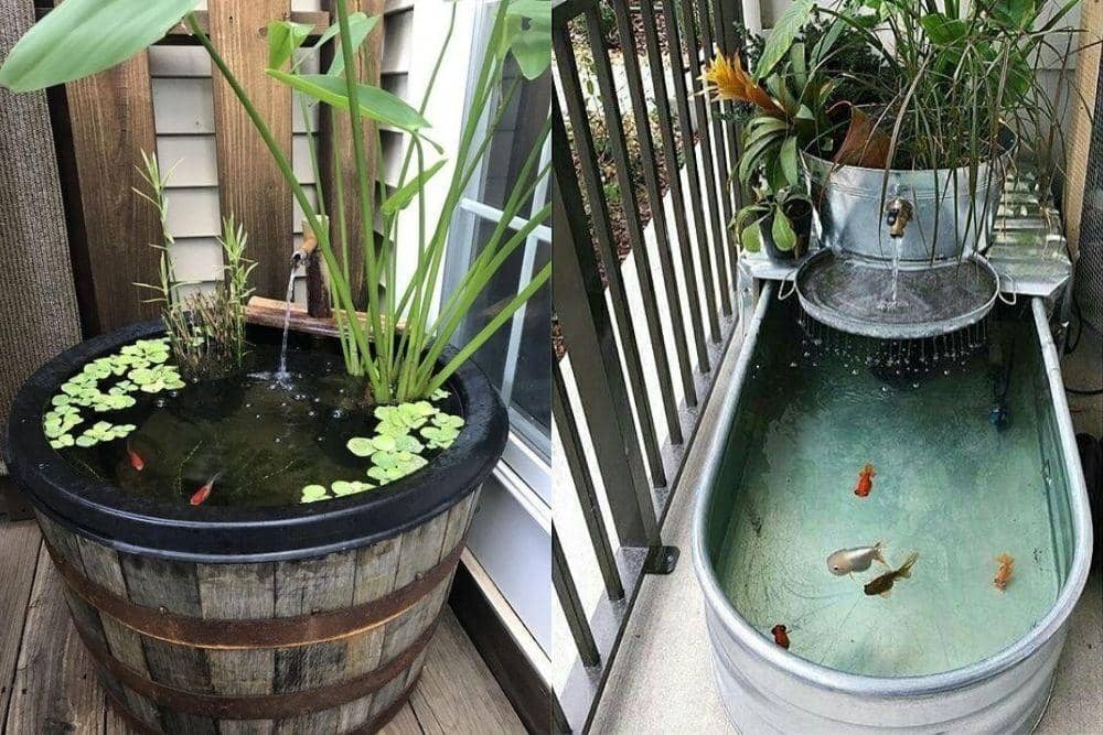 containerwatergardens.net, pinterest.com