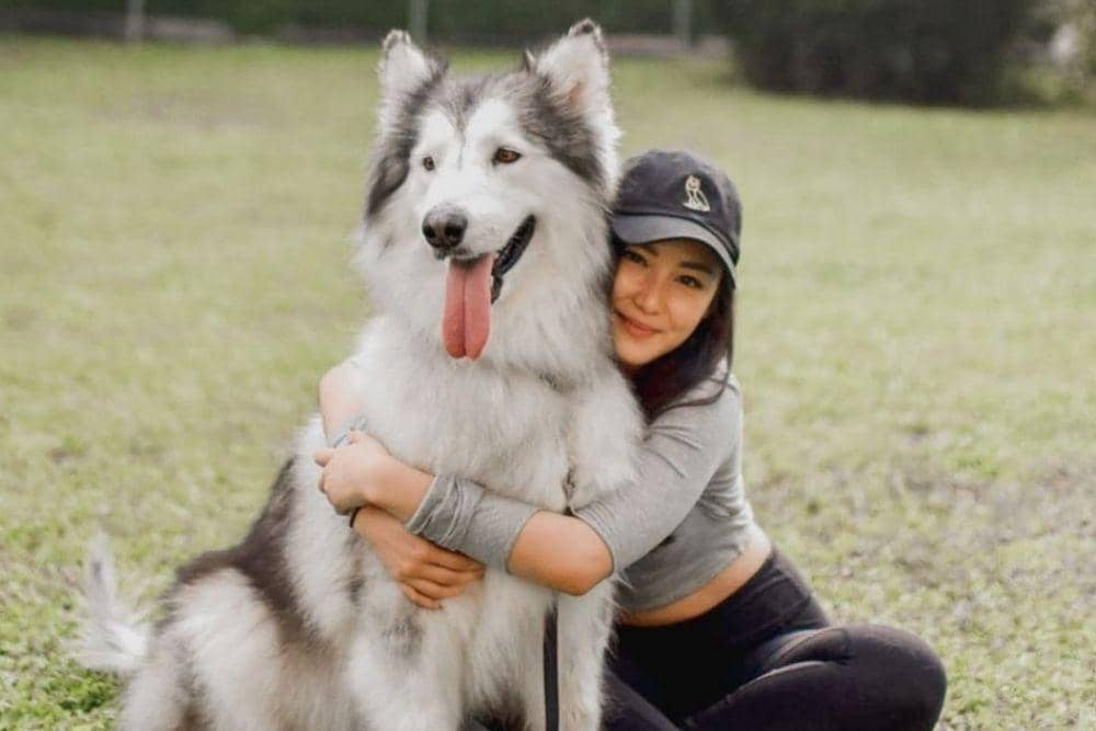 instagram.com/karbearv