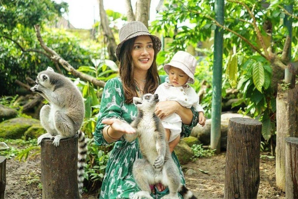 instagram.com/shandyaulia