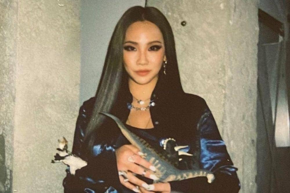 instagram.com/chaelincl