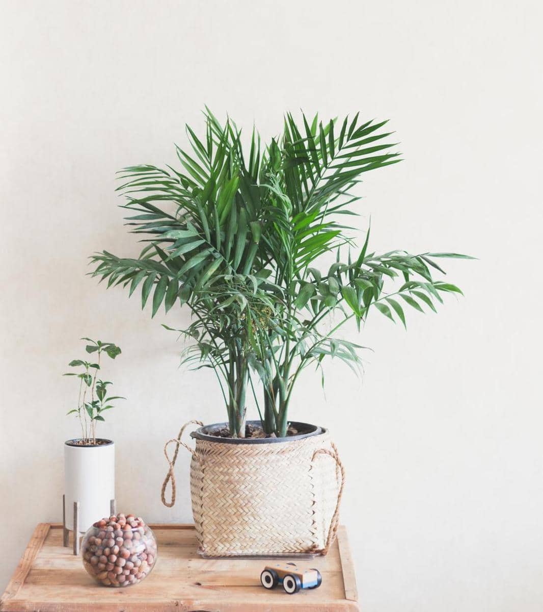 Unsplash.com/Behnam Norouzi