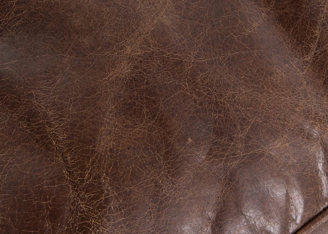 silvercoastcompany.com