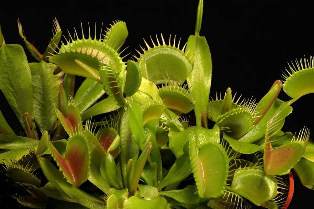 Unsplash.com/Andi Superkern