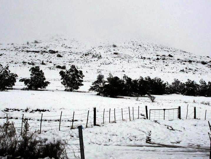 notesfromafrica.wordpress.com