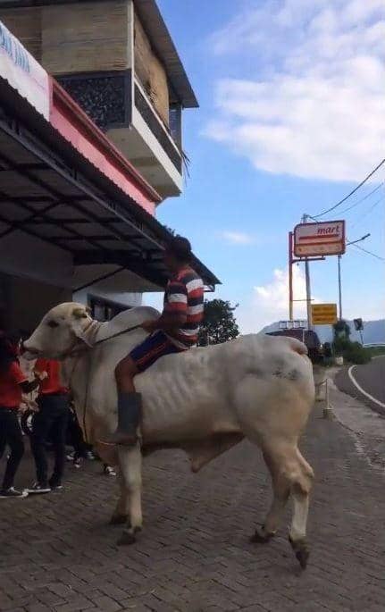 Twitter.com/abanggrab