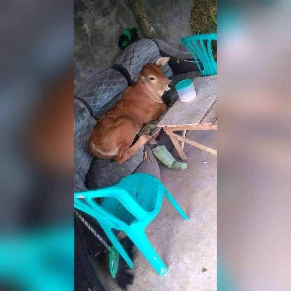 Instagram.com/wkwkland_real