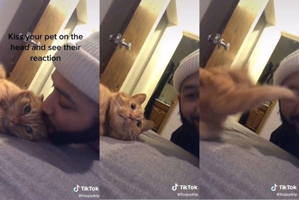 tiktok.com/foopydrip