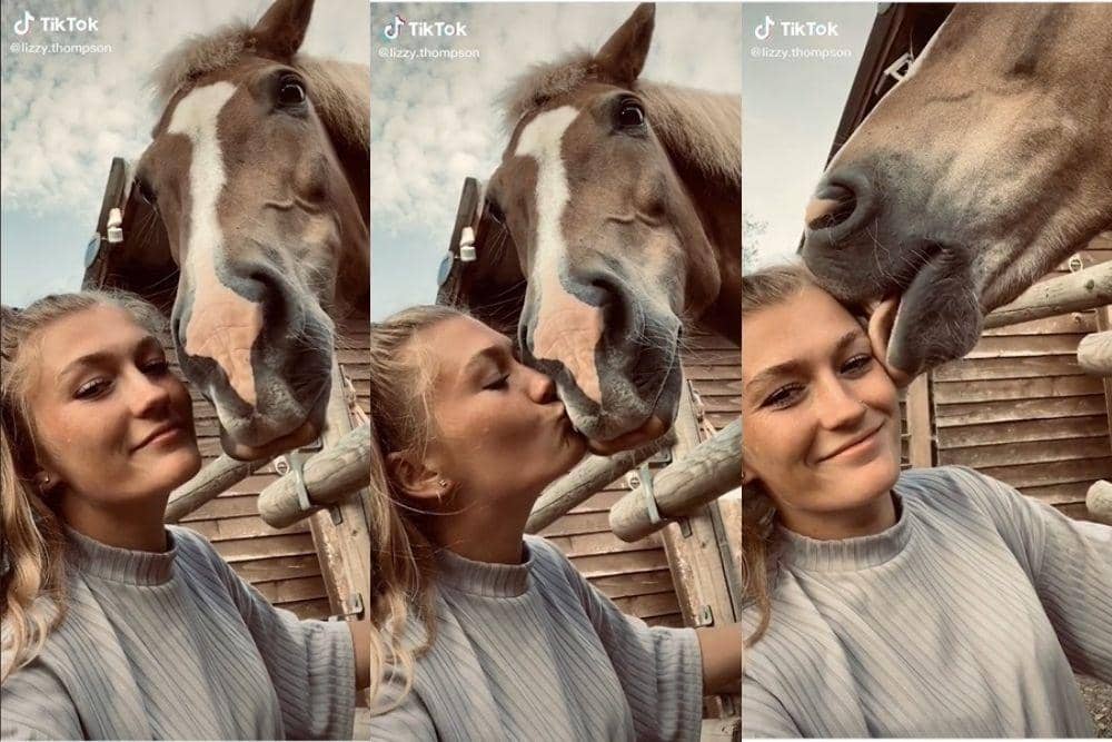 tiktok.com/lizzy-thompson