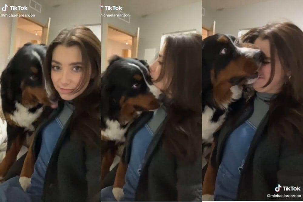 tiktok.com/michaelareardon