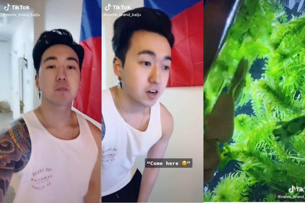 tiktok.com/name_brand_kaiju