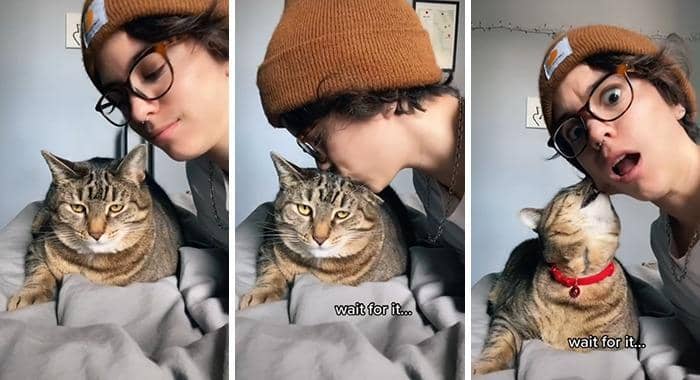 tiktok.com/sfram1218