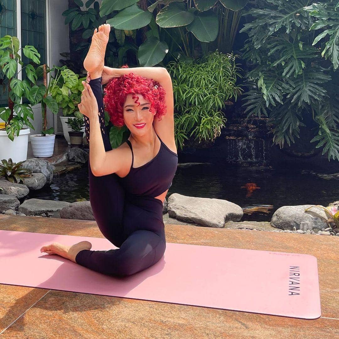 instagram.com/inul.d/