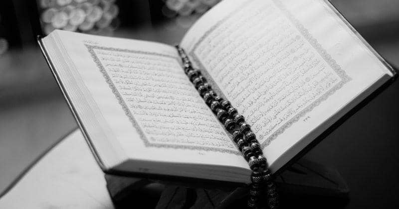 Pexels.com/Tayeb MEZAHDIA