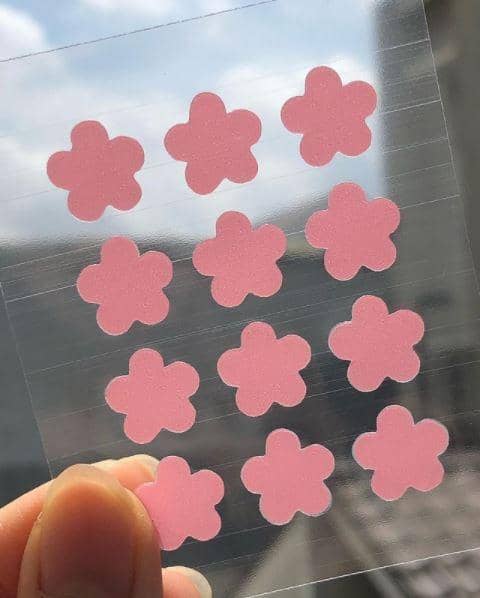 instagram.com/teddyclubs/